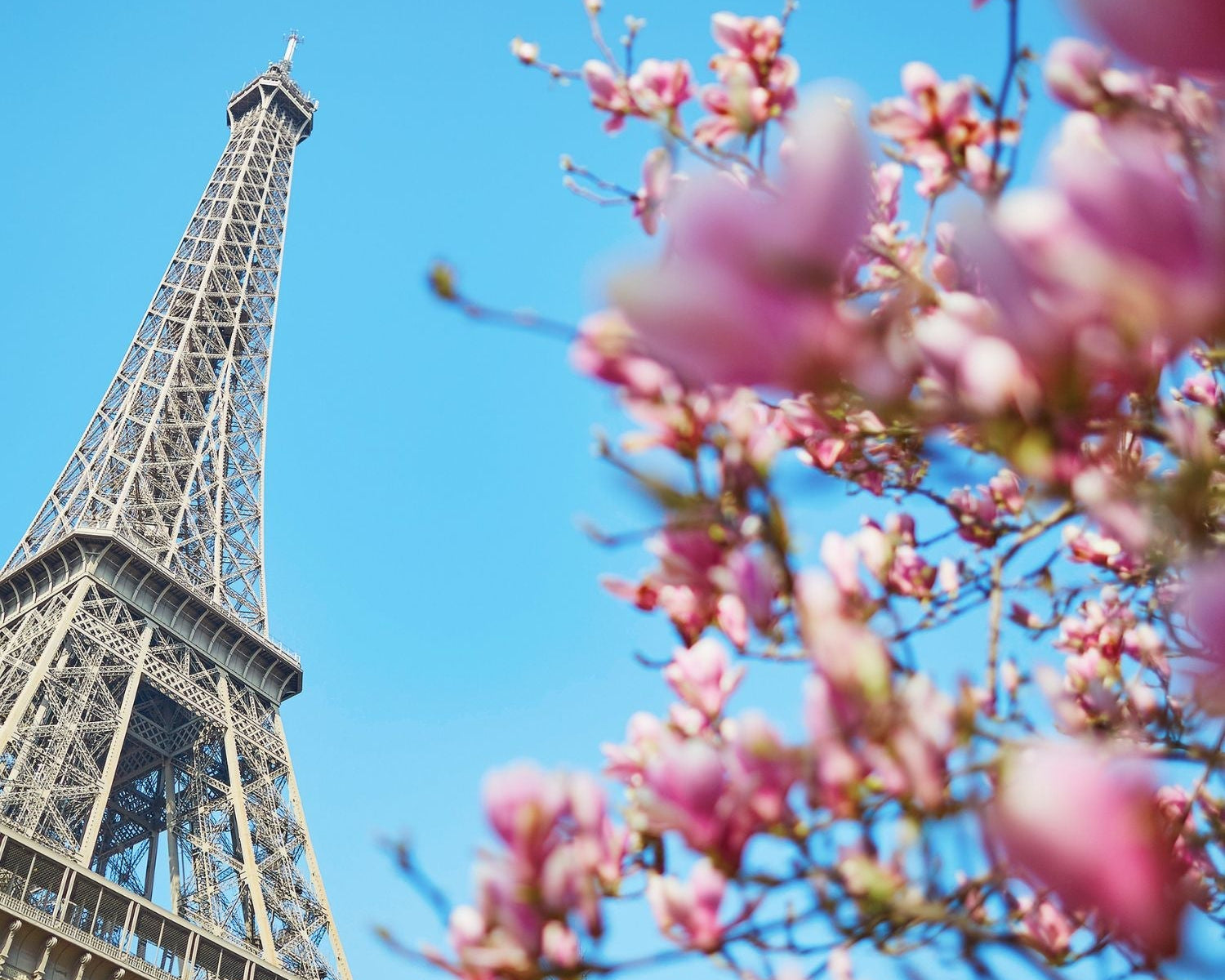 Gift shopping in Paris: the best ideas for chic and original presents