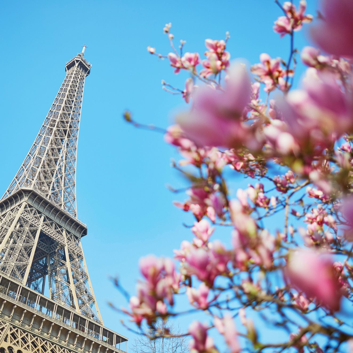 Gift shopping in Paris: the best ideas for chic and original presents